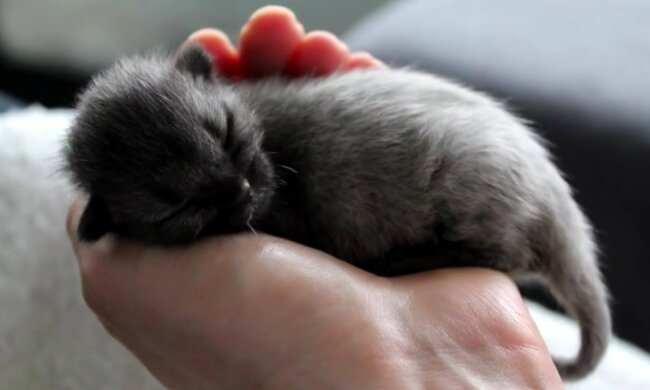 Lebensverändernde Entscheidung. Quelle: Screenshot YouTube