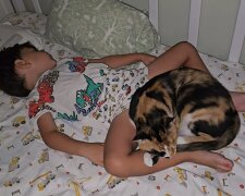 Kind im Katzenbett: Netz empört sich über verantwortungslose Eltern