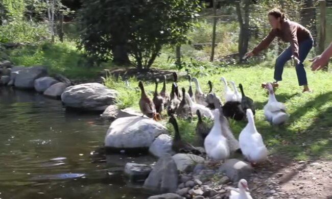 Aufrichtige Freude. Quelle: Screenshot YouTube