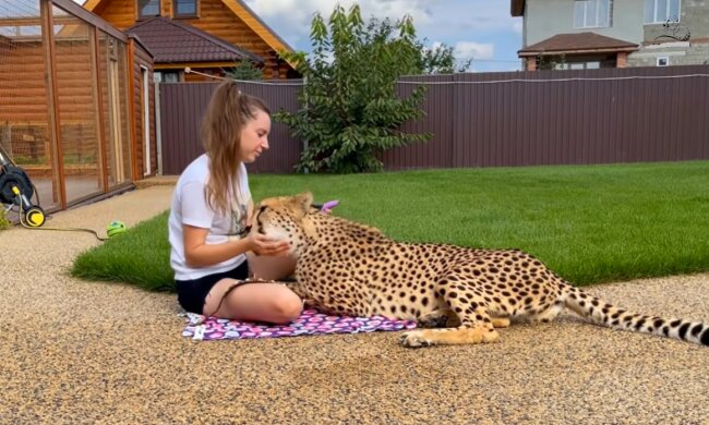 Die Geschichte einer ungewöhnlichen Freundschaft. Quelle: Screenshot YouTube