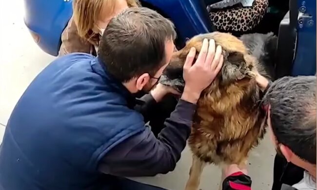 Hund Diko und sein Besitzer. Quelle: Screenshot Youtube