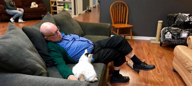 Der 75-jährige Mann hat neben den Tierheimkatzen geschlafen und versehentlich 40 000 Dollar für sie gesammelt
