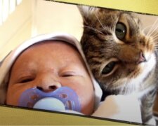 Katze und Kind. Quelle: Screenshot YouTube