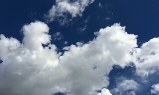 Interessante Tatsache über die Natur. Quelle: Screenshot YouTube