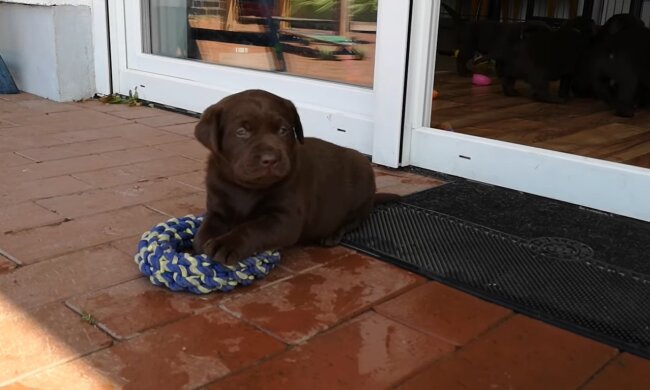 Illustratives Bild. Quelle: Youtube Screenshot