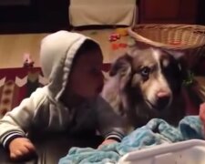 Baby Sam und Hund Patch. Quelle: Screenshot Youtube