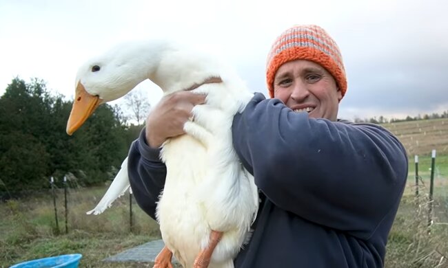 Ente und Lucys Ehemann. Quelle: YouTube Screenshot