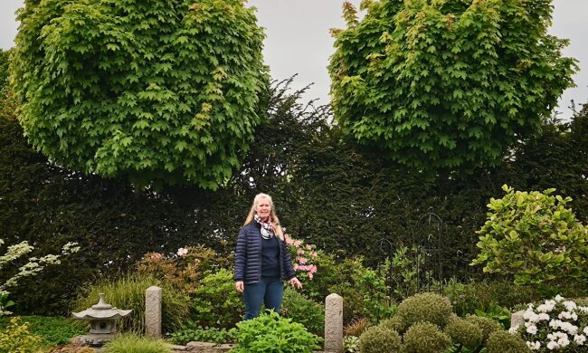 Illustratives Bild. Quelle: Youtube Screenshot