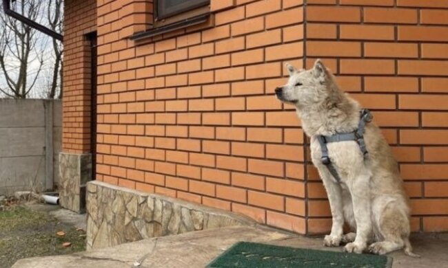 Rine. Quelle: bigkyiv.com.ua