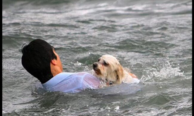 Bewundernswerte Tat eines gutherzigen Menschen. Quelle: Screenshot YouTube