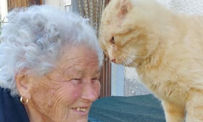Oma verlor ihre Katze während des Erdbebens, aber 4 Jahre später trafen sie sich