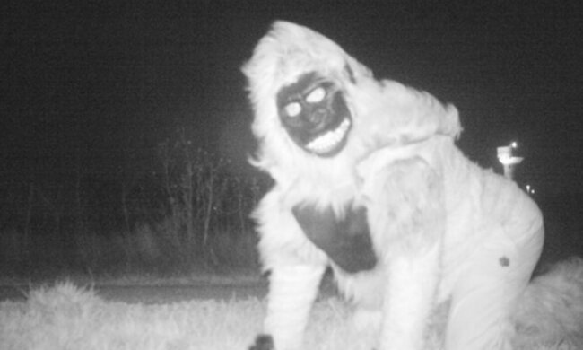 Die Polizei installierte eine Nachtsichtkamera, um den Puma zu finden, aber die Einheimischen beschlossen, sich vor dem Objektiv zu stellen