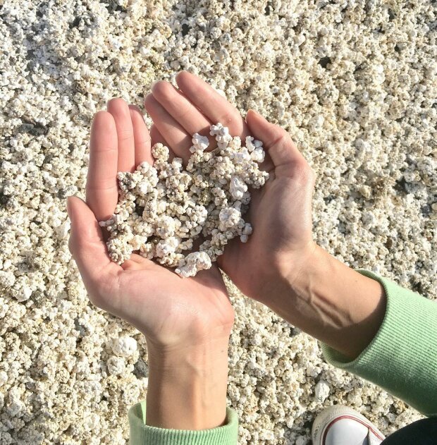 Naturphänomen: Wie sieht ein Popcornstrand auf den Kanarischen Inseln aus