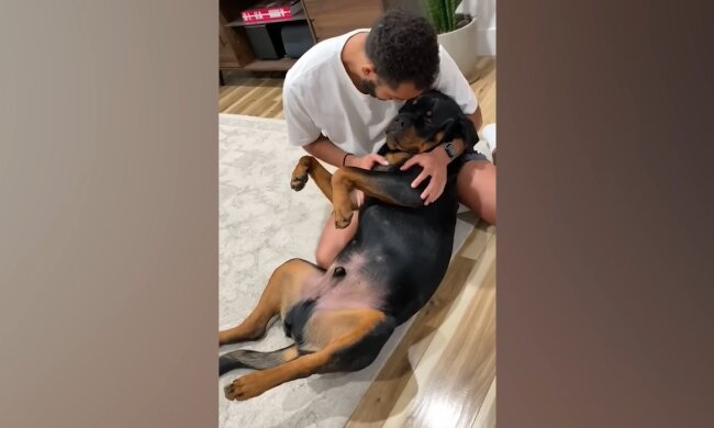 Eine außergewöhnliche Geschichte der Loyalität. Quelle: Youtube