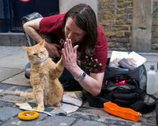 Sie haben einander gefunden: Der rote Kater Bob, der das Leben des obdachlosen James geändert hat