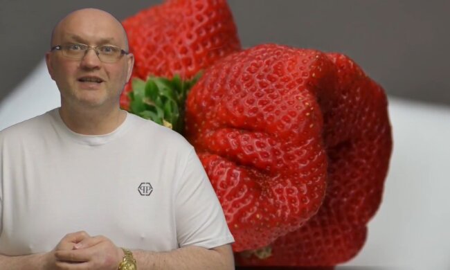 Riesige Erdbeeren. Quelle: Youtube Screenshot