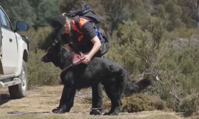 Fonzie. Quelle: Youtube Screenshot