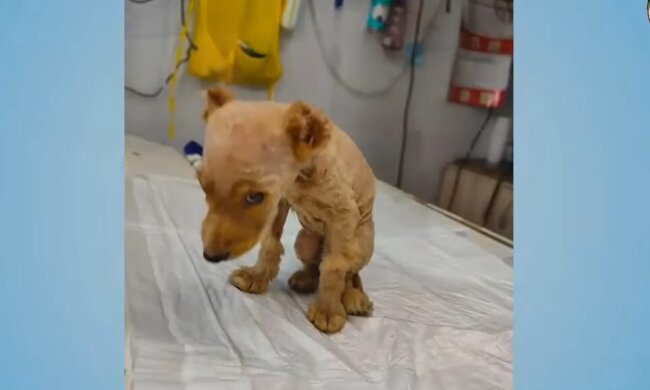 Wehrloses Baby. Quelle: Screenshot YouTube