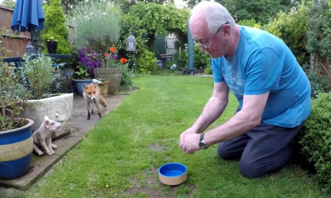 Ein unerwarteter Gast. Quelle: Youtube Screenshot