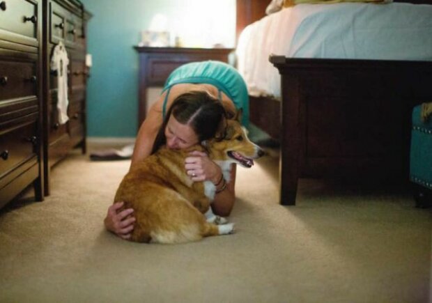 Was für eine Sorge: Der Hund “half” seiner Geliebten, eine Tochter zur Welt zu bringen, und wurde zum Helden des Fotoshootings