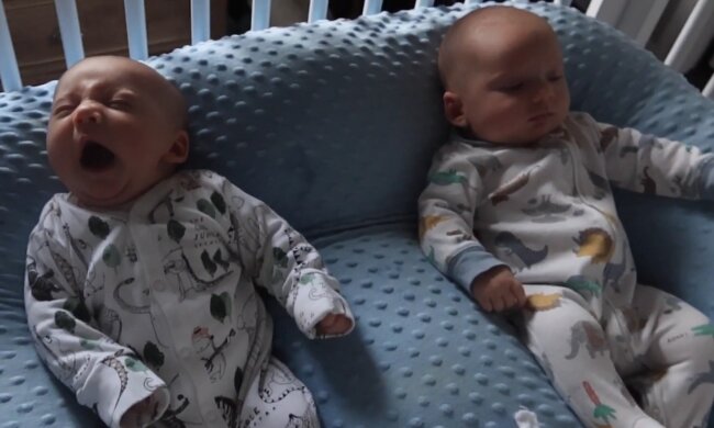 Neugeborene Babys. Quelle: YouTube Screenshot