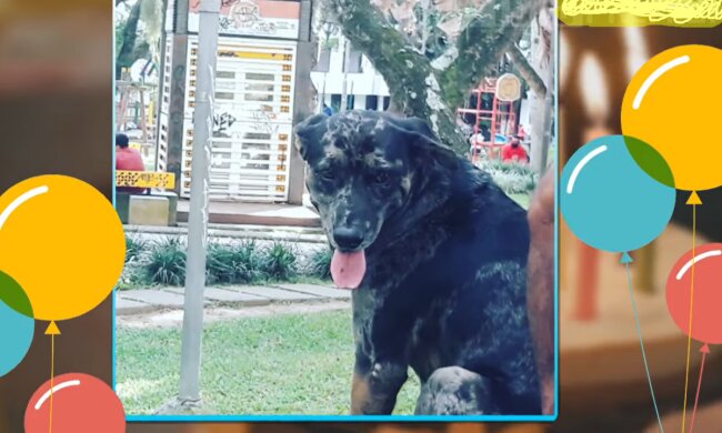 Ein kleines Fest für Freunde. Quelle: Screenshot YouTube