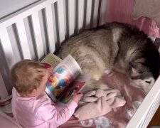 Husky mit dem Baby im Bett. Quelle: Youtube Screenshot