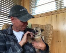 "Ein Geschenk der Natur": Wie ein Hund mit einem ungewöhnlichen Gesicht aussieht