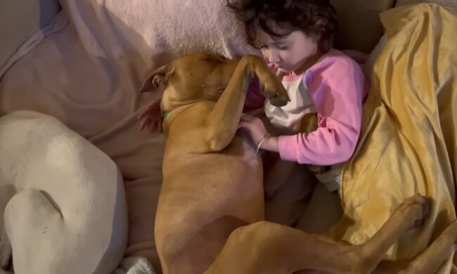 Eine ungewöhnliche Namenswahl. Quelle: Youtube Screenshot