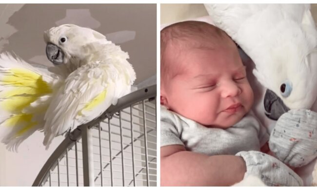 Vito und Sofia. Quelle: Screenshot YouTube