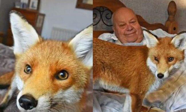 Beste Freunde. Quelle: Screenshot