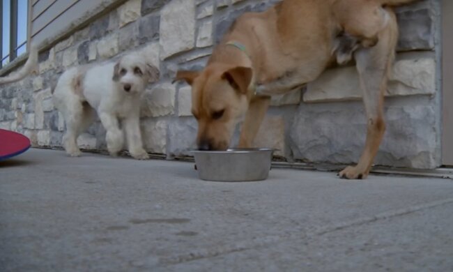 Illustratives Bild. Quelle: Youtube Screenshot