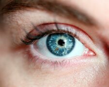 Wissenschaftler haben erklärt, wie man die Sehkraft über viele Jahre bewahren kann, Details