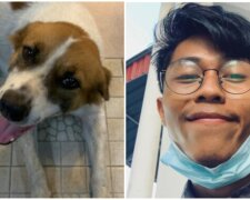 Mohd Ridhuan und streunender Hund. Quelle: Screenshot Youtube