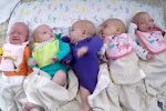 Fünf Neugeborene. Quelle: Youtube Screenshot