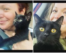 Allison, Kätzchen Luna und seine Mutter Queenie. Quelle: Screenshot Youtube