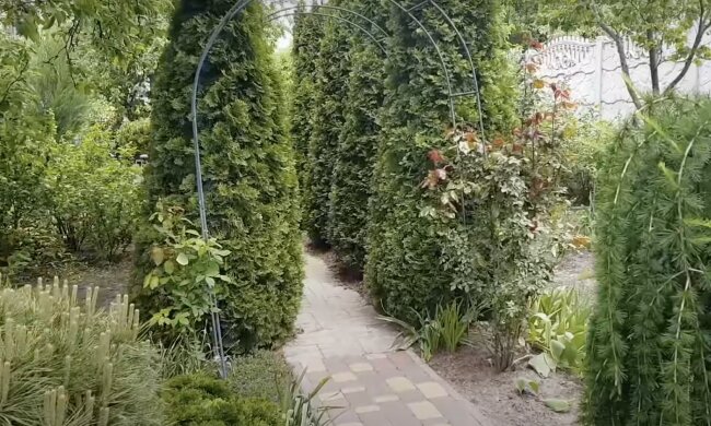 Garten. Quelle: Screenshot YouTube