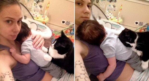 Die Katze liebte das Baby, bevor es geboren wurde, und jetzt beschützt sie es
