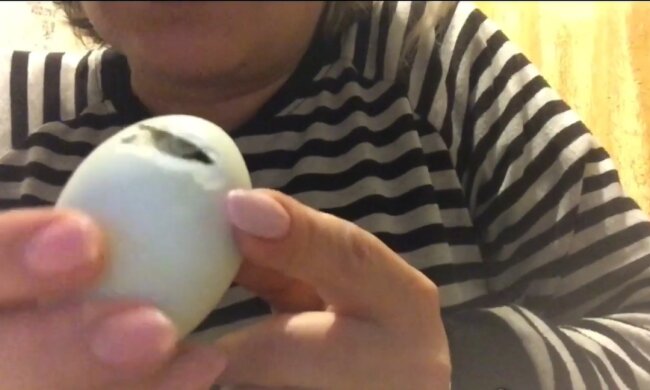 Ei. Quelle: Youtube Screenshot
