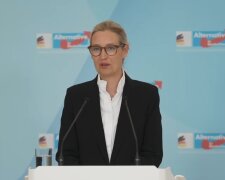 AfD plant umstrittene Baby-Prämie. Quelle: Youtube Screenshot