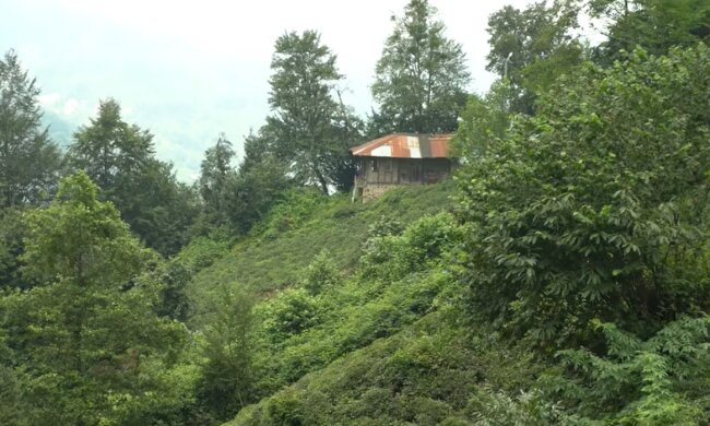 Das verlassene Haus. Quelle: Youtube Screenshot