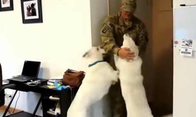 Hund ist ein wahrer Freund.  Quelle: Youtube Screenshot