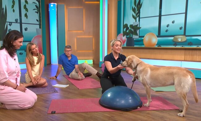 Hunde im Yoga-Studio verboten. Quelle: Youtube Screenshot