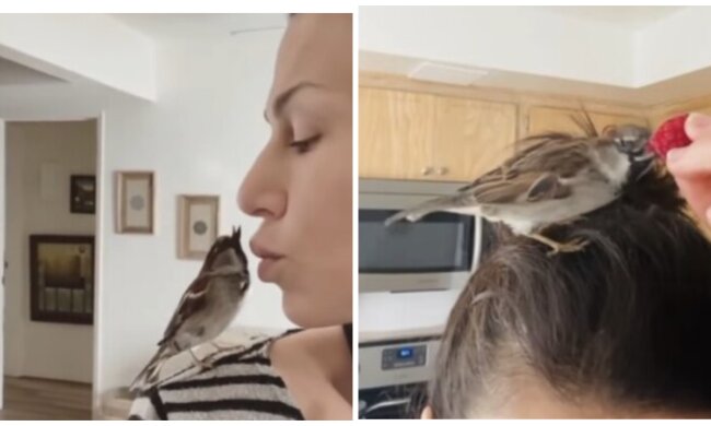 Beste Freunde. Quelle: Screenshot