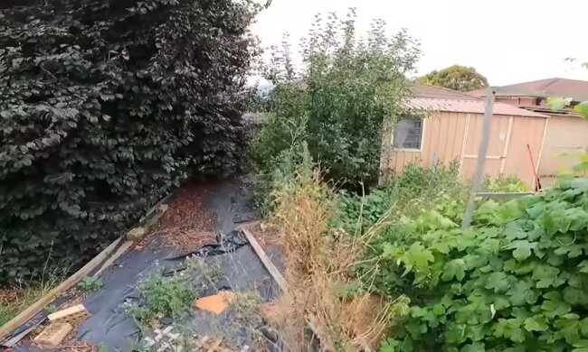 Garten. Quelle: Youtube Screenshot