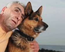 Der deutsche Schäferhund wurde gestohlen, aber er überwand 600 Kilometer und fand nach drei Jahren Trennung seinen Besitzer