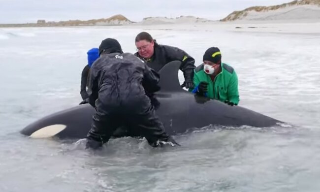 Jedes Leben ist wertvoll. Quelle: Screenshot YouTube