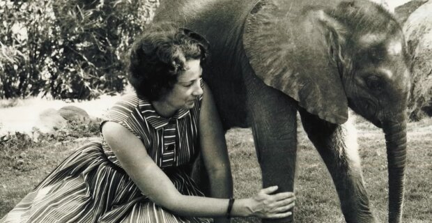 Frau mit Elephanten. Quelle: Google
