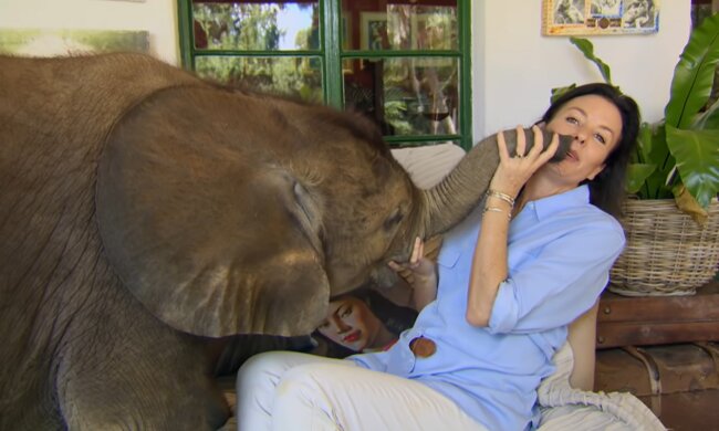 Charmanter Gast. Quelle: Screenshot YouTube