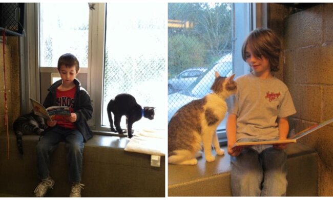 Katze und Kinder. Quelle: Screenshot